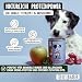 TIERLIEBHABER – Hundefutter Nass 400g Lamm mit Apfel – Von Tierärzten entwickelt – Nassfutter Hund mit 91% Fleischanteil – Dog Food als Hundenassfutter 400g Dosen
