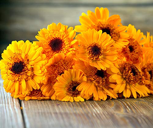 La-Verde Blumen 1 Parent – Bild 4