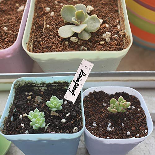 Plant Labels, ZOUTOG 1000 Pcs Plastic Plant Tags 4 Inch Garden Makers with Pen - Thumbnail 5