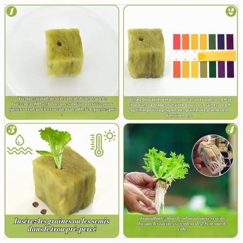 GXGM 50 Pièces Laine de Roche, Culture Hydroponique Laine Cubes 2,5 X 2,5 X 2,5 cm, Hydroponie Jardin, Hydroponique Bouchons de Laine de Roche, pour La Multiplication, Semis – vue 6