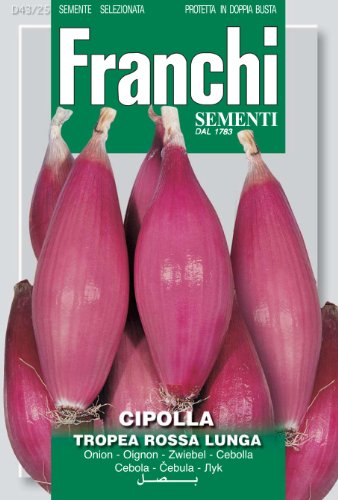 Franchi Long Red Onion Tropea Rossa Lunga