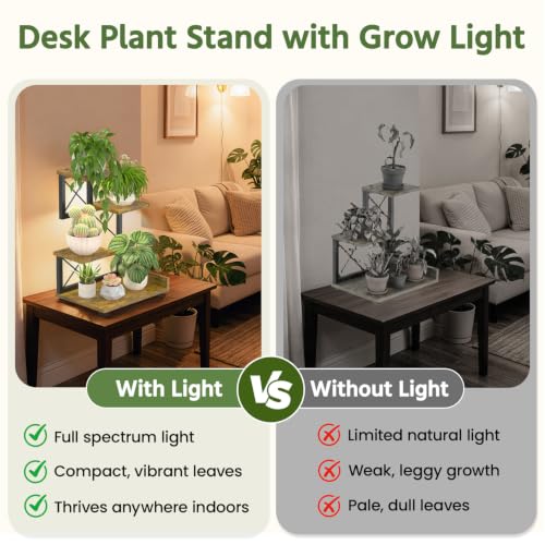 LASZOLA Plant Stand Indoor Tabletop Shelf Small for Desk, Wooden Brown by LASZOLA - Used condition - Image 4