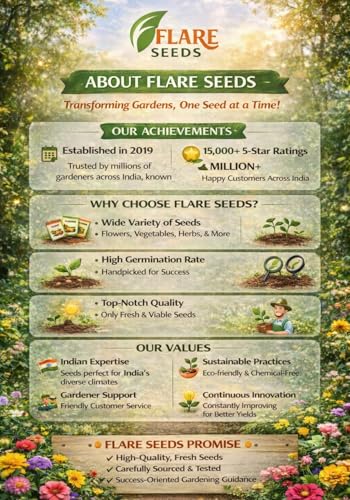 Image of 20 Variety Summer Vegetable Seeds Combo, Easy to Grow, Home Gardening Seeds Combo
