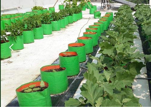 YUVAGREEN Heavy Duty Terrace Gardening Leafy Vegetable Green Grow Bag (15" X 15") - (Pack of 2) (B09FFKQXCQ) Amazon Price History, Amazon Price Tracker