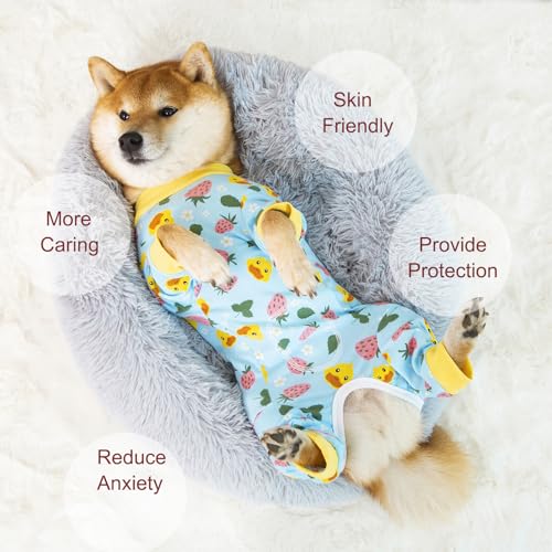 Image of Dog Recovery Suit for Small Medium Large Dogs, Pet Onesie After Surgery Comfort Dog Bodysuit Anti Licking (Blue,XL)