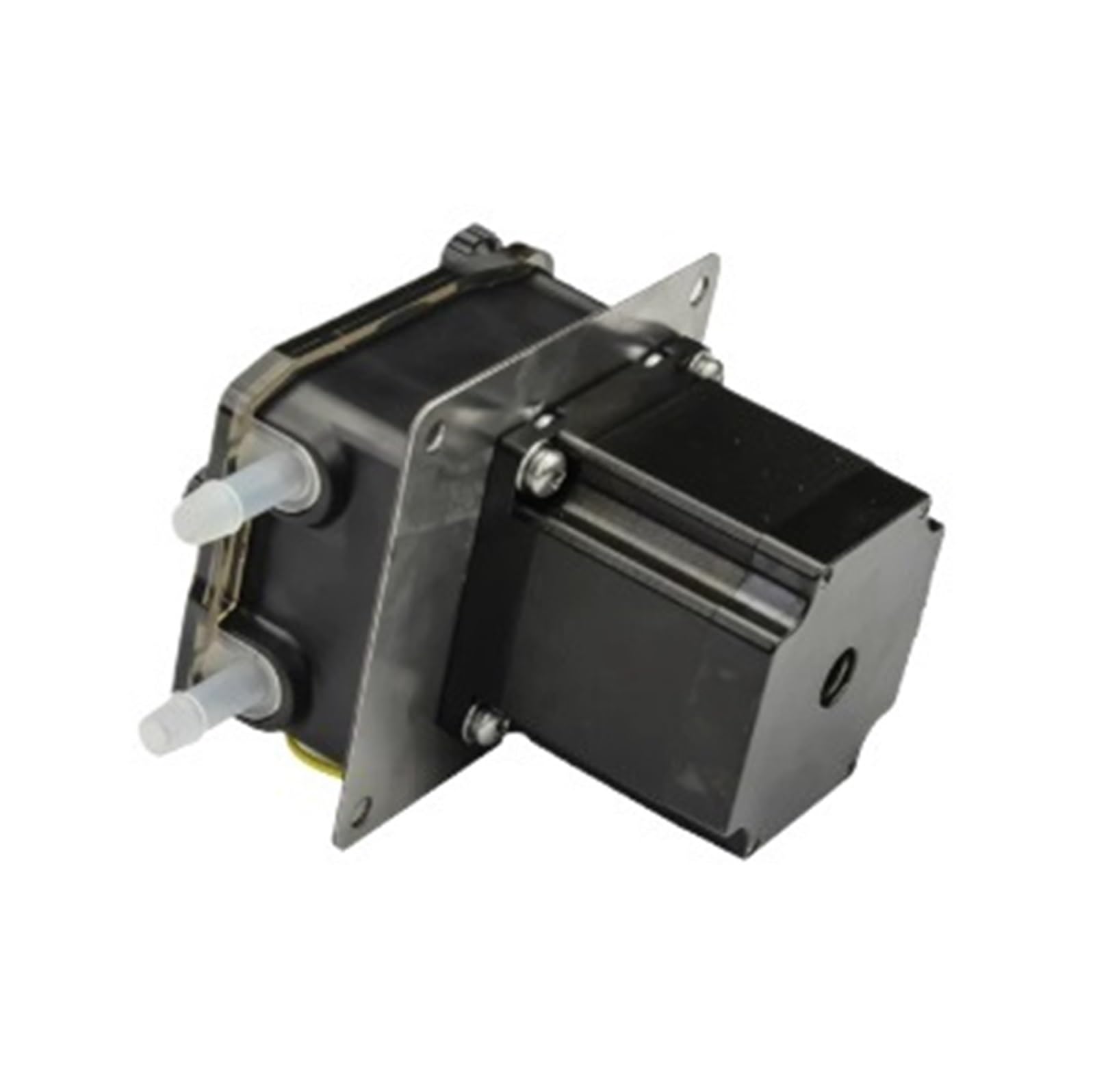 BT-24V-300R-24 Peristaltic Metering Pump