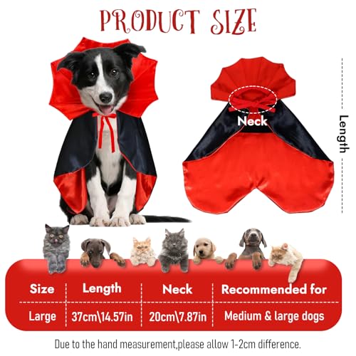 Photo complémentaire