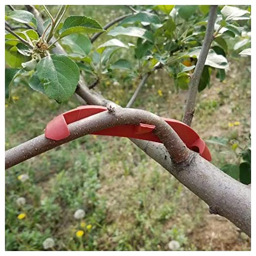 Haofy Soporte para Plantas Clips para Doblar Ramas Dobladoras, Clips de plástico para fijación de Plantas para árboles frutales, Rojo(100 * 13.5cm)