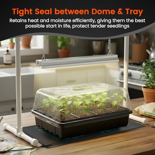 SOLIGT [Thick Plastic] 3-Set Strong Seed Starter Trays with 5" Humidity Domes for Seed Starting, Germination, Seedling Propagation & Plant Growing, Holds 144 Cells in Total