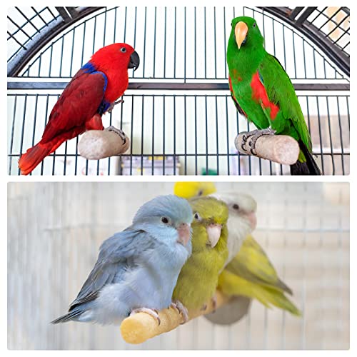 Image of PATIKIL 1.1x7.9 Inch Bird Cage Perch, Parrot Stand Paw Grinding Stick Bird for Parakeet Cockatiel Cage Accessory, Blue