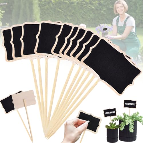 Etichette Per Piante In Legno - 10 Pezzi A Forma Di Uccello, Lavagnette Personalizzabili Per Orto - Foto 6