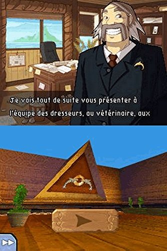 'île Aux Dauphins Nintendo Ds - vue 8