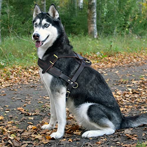 Pet Artist Genuine Leather Dog Harness For Large Dogs,Rottweiler,Boxer,Presa,Pitbull,Doberman,German Shepard,Bull Mastiff,Leather Sled Dog Harness With Soft Padded,Xl #TOP1