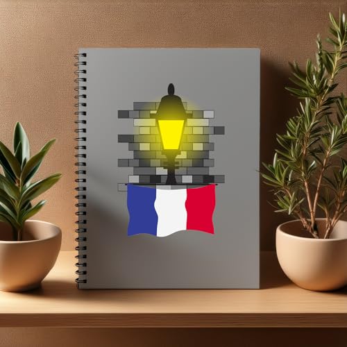 Carnet A5 brique réutilisable ligné lot de 20 cahiers pour notes