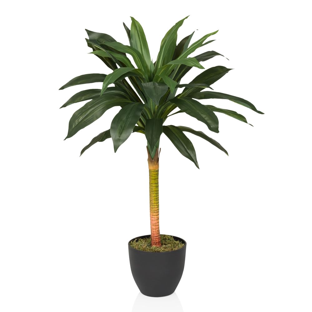 Amazon.de: hjh OFFICE Kunstpalme 85cm Dracaena I Knstlicher Drachenbaum  Kunstpflanze, Deko Palme fr Bro Wohnzimmer