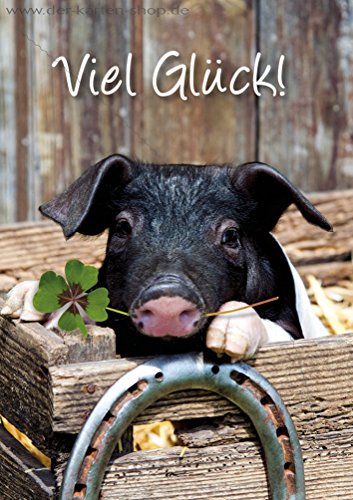 3 pezzi biglietto d' auguri, d' auguri, doppia