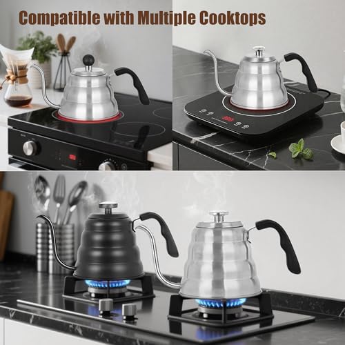 Stovetop Gooseneck Kettle with Thermometer