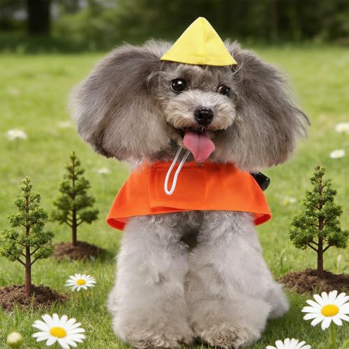 Disfraz para perro Gadpiparty XL naranja resistente miniatura 7