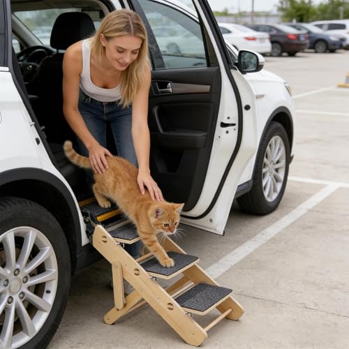 Rampa para perros estables que cuida las articulaciones de tu mascota 4