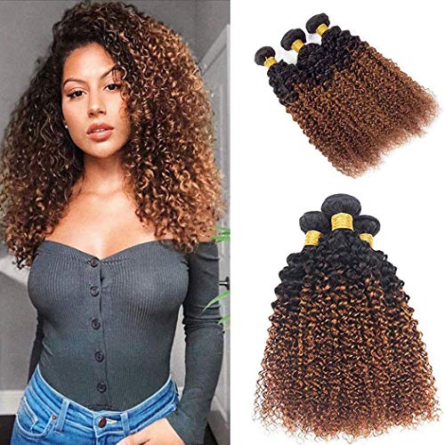Ombre Bundle Human Hair Kinky Curly Virgin Hair T1B/30 Brown two-tone 8A Grade Soft Brazilian 100% Human Hair Extensions (16"18"20") Inch