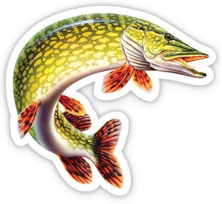 Pike Jumping - 3" Vinyl Sticker - for Car Laptop I-Pad Phone Helmet Hard Hat - Waterproof Decal