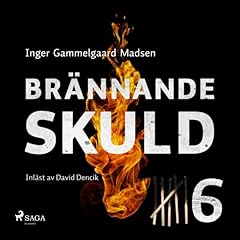 『Br&auml;nnande skuld 6』のカバーアート