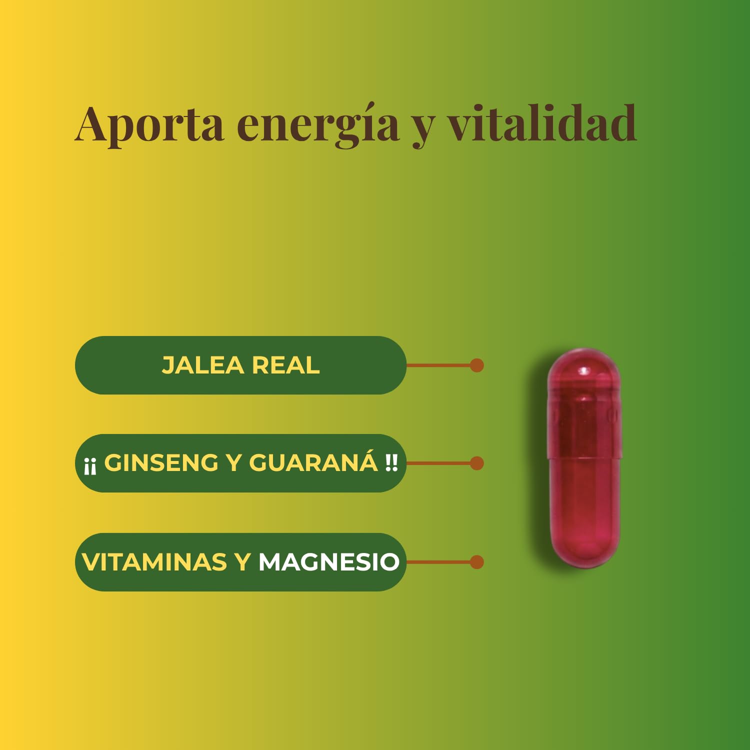 Pack Especial Energía y Vitalidad - Revital Ginseng 20 Viales + Revital Energy Plus 30 Cápsulas - Aporta Energía y Vitalidad y Disminuye la Fatiga - con Jalea Real, Ginseng, Guaraná y Vitaminas