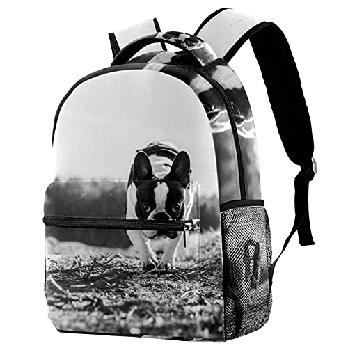 Sac à dos de voyage motif chien pour filles et garçons idéal pour le camping