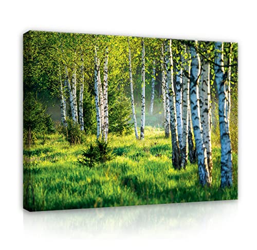 WallArena Leinwand Bilder Wald Grün Natur Landschaft Birken Birkenwald - 100x75 cm Leinwandbilder Bild auf leinwand Wandbild XXL groß Wandbilder für Wohnzimmer Schlafzimmer Wohnzimmerbilder Modern WallArena Leinwand Bilder Wald Grün Natur Landschaft Birken Birkenwald - 100x75 cm Leinwandbilder Bild auf leinwand Wandbild XXL groß Wandbilder für Wohnzimmer Schlafzimmer Wohnzimmerbilder Modern