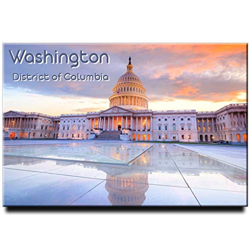 Imán de nevera Washington DC con forma redonda miniatura 1