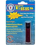 San Francisco Bay Brand Brine Shrimp Eggs Vial 0.2-Ounces (6 Grams) | Excellent Food Source Baby ...