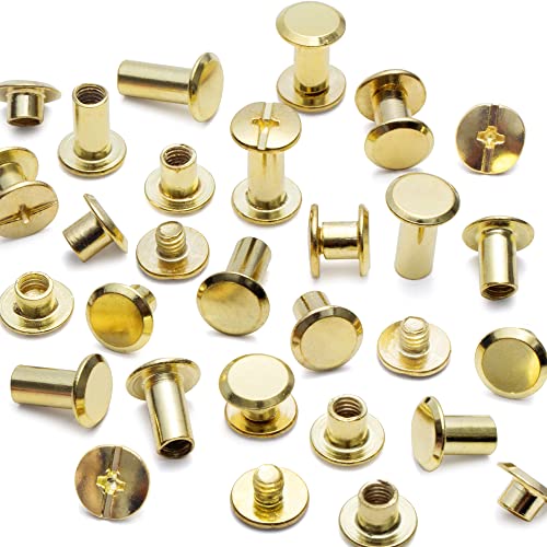 Yoranyo 110Sets Chicago Screws Leather Rivets Assorted Screw Rivets M5 Chicago Binding Screws For Decorate And Repair Leather Craft Belt Bag Shoes Purse Bookbinding (Gold, M5*4,5,6,8,10,12) #TOP2