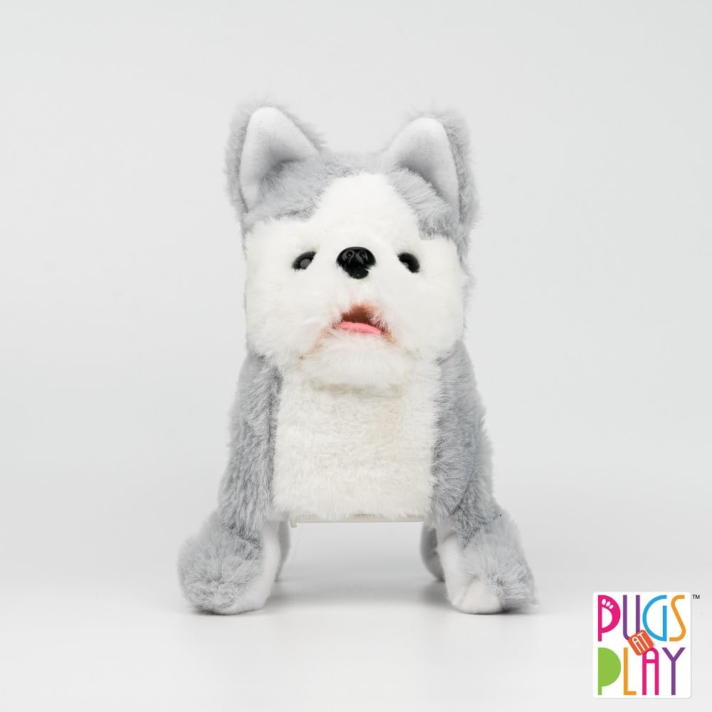 View 5