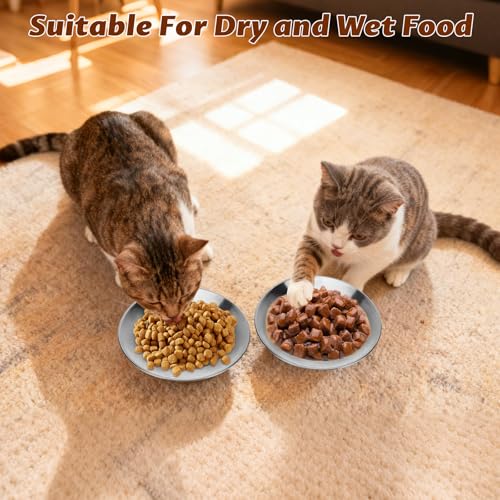 6 Stück Katzennapf Edelstahl, 6.3 Zoll Futternapf Katze Flach für Katzen, Fressnapf Katze, Anti Whisker Fatigue Katzengeschirr Set, Flacher breiter Futter- und Wassernapf für Kleine Katzen und Hunde
