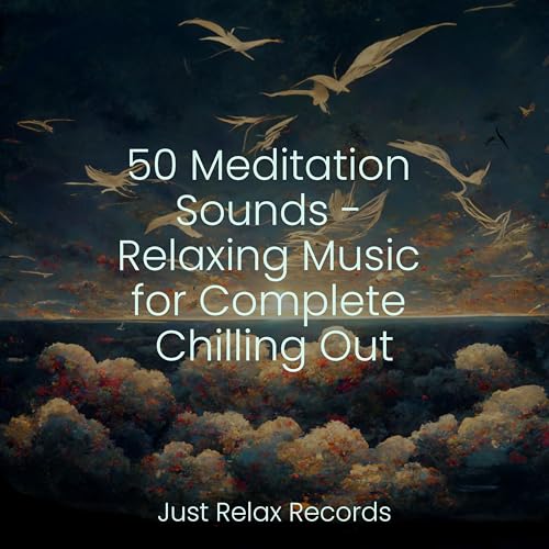Play 50 Meditation Sounds - Relaxing Music for Complete Chilling Out by ...