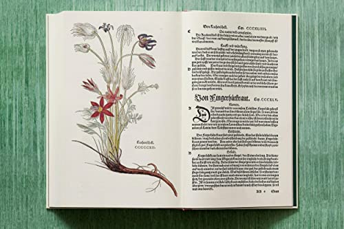 Leonhart Fuchs: The New Herbal / Physician and Pioneer of Modern Botany