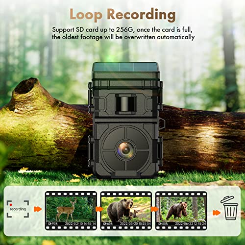 Solar Trail Camera, 24Mp 1080P 2500Mah Built-In Lithium Battery Rechargeable Solar Game Wildlife Hunting & Trail Cameras 0.1S Trigger Time With 120° Detection Angle Night Vision Motion Activated #TOP3