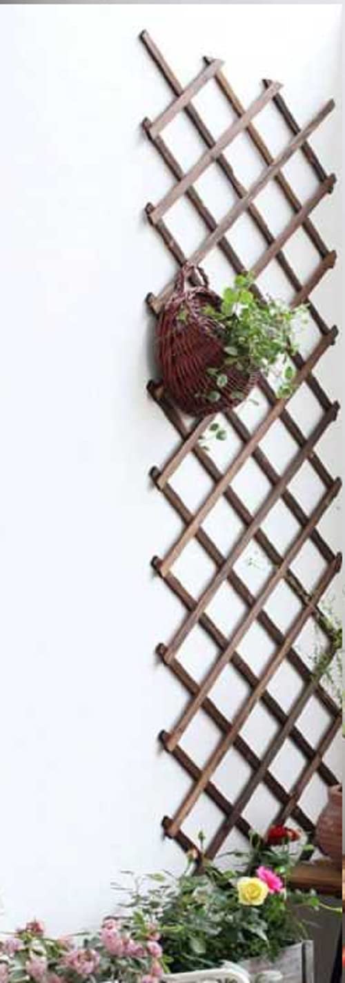 MD MUZ Dark Wood 5ft x 2ft EXPANDING WOODEN TRELLIS Garden Climbing Plant Rose Flower Wood