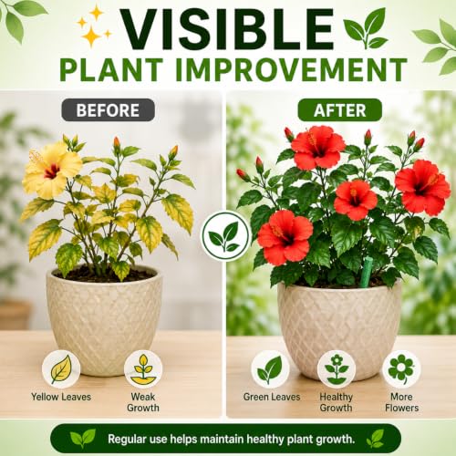 Image of Indian Gardens - Plant Food Sticks (Pack of 40) for Indoor & Outdoor Plants | Slow Release Fertilizer Sticks | Easy to Use Plant Nutrition