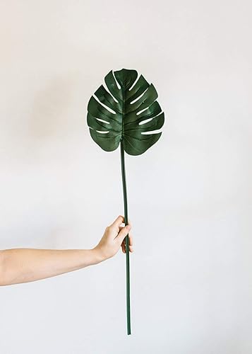 Hojas de palma de monstruo artificial, 30.0 in de alto.