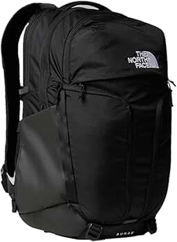 Amazon.co.jp: [ザノースフェイス] リュック バックパック サージ 31L