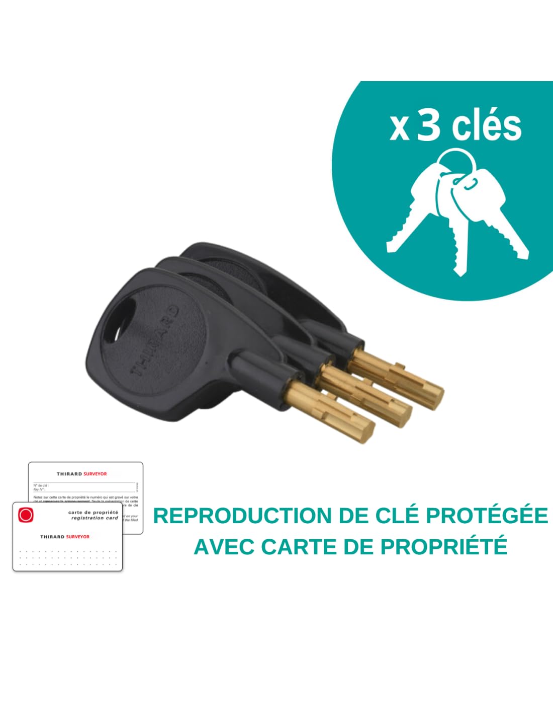 THIRARD - Verrou à Bouton Emeraude Surveyor - Cylindre à Pompes Ø 23 mm - 60 x 90 mm - 3 Clés à Insert Laiton - Très Haute Sécurité - Acier - Epoxy Or