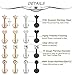 Masedy 16Pcs 16G 316L Stainless Steel CZ Labret Monroe Lip Rings Cartilage Helix Tragus Nose Piercing 8MM