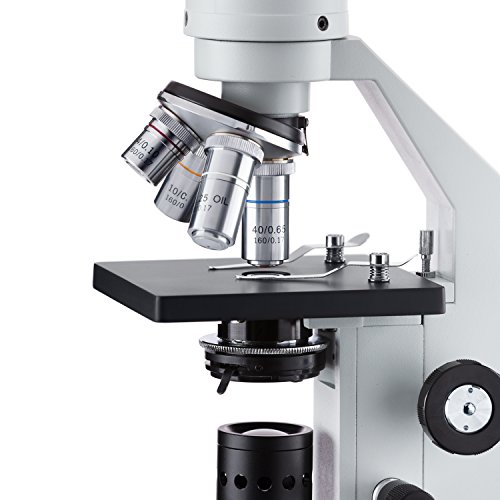 Image of AmScope M500B-LED Cordless Monocular Compound Microscope, WF10x and WF20x Eyepieces, 40x-2000x Magnification, Anti-Mold Optics, LED Illumination, Brightfield, Abbe Condenser, Coarse and Fine Focus, Plain Stage, 110V or Battery