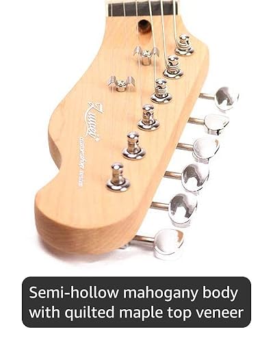 Amazon.com: ZUWEI Semi Hollow Body Electric Guitar,TL Series