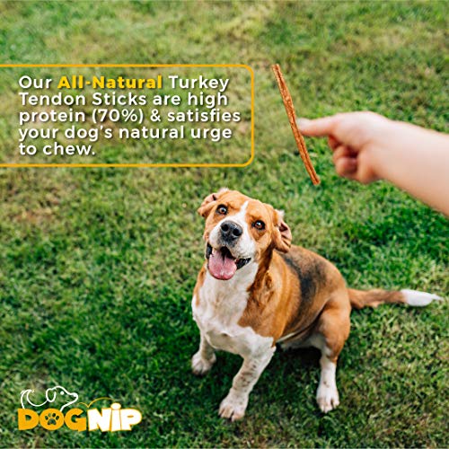 Dog Nip Gobble! 6-Inch Turkey Tendon Sticks For Dogs thumb #5