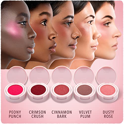 Blossom Fresh Impressions Hyper Pigmented Buildable Blendable Cushion Cream Blush Face Tint Cheek Stamp With Velvet Matte Finish & Flower Shaped Applicator, 0.17Oz/5G, Velvet Plum #TOP5