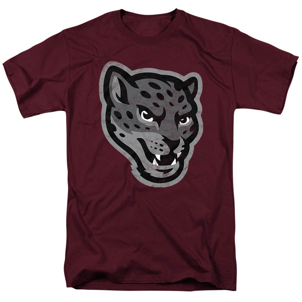 LOGOVISION Official Collegiate Distressed Primary Logo Adult T-Shirt Collection — view 128