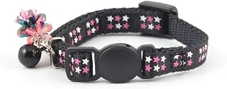 Stars Kittens Litter with Jewel & Sapphire Buckle