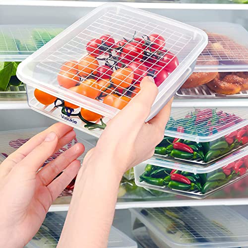 Image of Vasukie Fridge Storage Boxes with Removable Drain Plate, Egg Tray & Lid, Stackable Fridge Organizer, Fridge Containers To Keep Fruits, Vegetables, Meat, Fish, Egg Fresh and Dry (Pack Of 2)